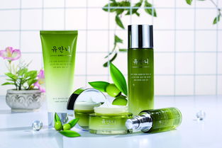 進(jìn)口化妝品 配方合規(guī)、專(zhuān)業(yè)物流與清關(guān)流程全解析